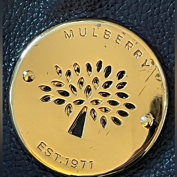 Mulberry Daria Purse *LIMITED EDITION* - Picture 5 of 10